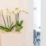 Appartement Antico Borgo 7 *