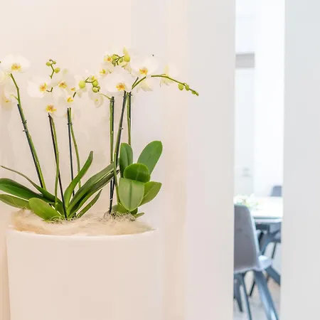 Apartament Antico Borgo 7 *